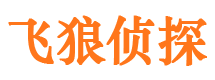 武鸣市调查取证